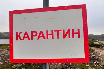 в двух селах казахстана объявили карантин из-за сибирской язвы