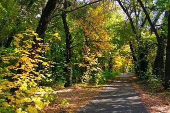 холодный антициклон придет в казахстан: погода на следующую неделю, 23–29 сентября 2024