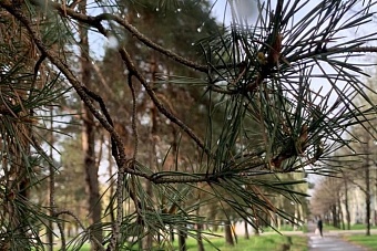 тепло, местами дожди: погода в странах центральной азии в четверг, 4 апреля 2024