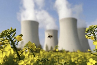 референдум по аэс хотят провести этой осенью в казахстане