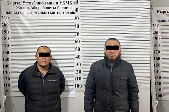 в кыргызстане задержали мэра  токтогула за связь с опг и рейдерский захват месторождения