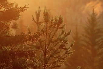 ясная и солнечная погода в узбекистане, кратковременные дожди и грозы в кыргызстане: погода в четверг, 11 июля 2024