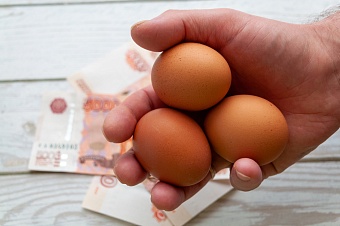 казахстан не пустил в страну партию куриных яиц из россии