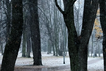 потепление и без осадков в узбекистане, дождь и снег в кыргызстане: погода в четверг, 14 ноября 2024