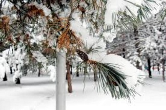 переменчивая и холодная: какая погода ожидается в центральной азии во вторник, 4 февраля 2025
