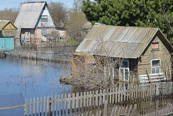 в казахстане из-за паводка погибли более 5,7 тыс. сельскохозяйственных животных