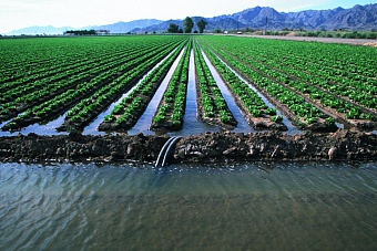 Президент Казахстана заявил о внедрении в республике новой тарифной политики в целях экономии воды