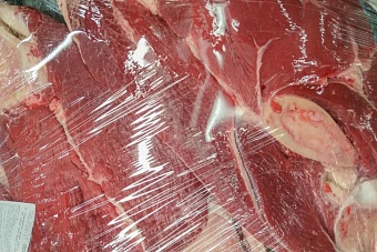 мясокомбинаты казахстана переполнены мясом сайгаков, на которое нет спроса