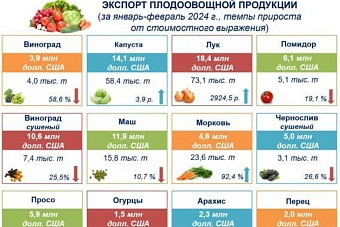 более $150 млн на продаже фруктов и овощей заработал узбекистан за два месяца 2024 года