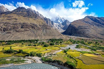 воз: ситуация со здравоохранением в афганистане ухудшилась 