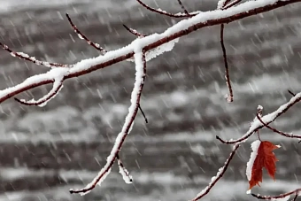 дожди, снег и гололед ожидаются в казахстане: погода во вторник, 22 октября 2024