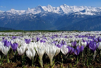 весна придет в казахстан в первых числах апреля: прогноз синоптиков на март 2024