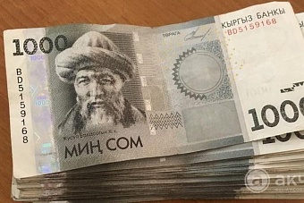 рассказываем, в какой области кыргызстана получают самые высокие зарплаты 2024 (регион, начисления)