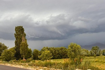 жара и кратковременные дожди в узбекистане, грозы и ливни в кыргызстане: погода в понедельник, 8 июля 2024
