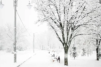 какой будет погода в странах центральной азии в четверг, 23 января 2025