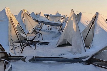 на юге казахстана в теплицах погиб урожай помидоров и огурцов 