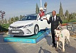 Гордость нации: самого отважного алабая года выбрали в Туркменистане