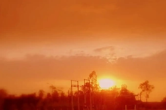 дожди и спад температуры ожидаются в узбекистане и кыргызстане: погода в понедельник, 15 июля 2024