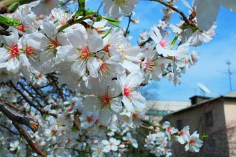 дожди и похолодание: погода в странам центральной азии во вторник, 9 апреля 2024