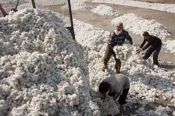 цены на хлопок начали расти после спада, но спрос остаётся слабым