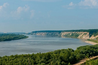 казахстан направит в иртыш 6,3 млрд кубометров воды для спасения рыб