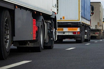 узбекистан наращивает экспорт в россию: количество заявок выросло на 34%