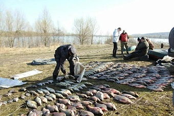  в казахстане ужесточается законодательство, направленное на борьбу с браконьерством