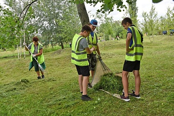 трудовых мигрантов в россии могут заменить школьниками 