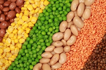 Узбекистан и Московская область увеличили поставки сельхозтоваров