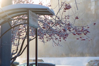 что обещают синоптики жителям центральной азии во вторник, 11 февраля 2025