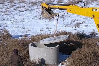 гибель лебедей в казахстане: отель rixos aktau выплатил штрафы на 2 млн тенге