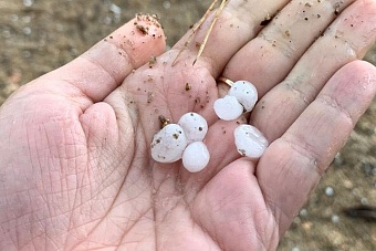 дожди и град вновь обрушатся на казахстан: погода в четверг, 29 августа 2024