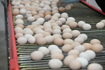 Власти Казахстана пообещали, что резко взлетевшие цены на яйца снизятся после Пасхи