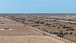 крупнейший агрокомплекс на 50 тыс. голов крс запустят в казахстане