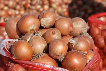 в узбекистане замерзли большие запасы лука