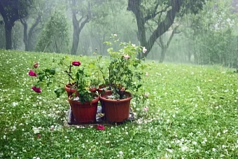 жара спадет в узбекистане, в кыргызстане кратковременные осадки: погода в субботу и воскресенье, 24 и 25 августа 2024
