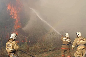 сильный лесной пожар в абайской области казахстана: в бородулихинском районе объявят режим чс