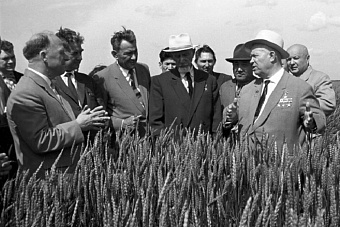 Целина и пустота: Как казахстанские власти внушают жителям «ущербность» созидательной кампании