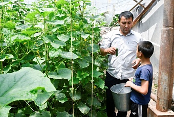 таджикистану для борьбы с голодом понадобится $1,4 млрд