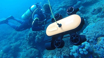 риа: в николаеве уничтожена база украинских диверсантов