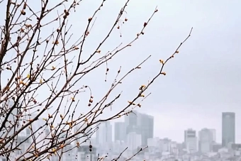 какая погода ожидается в центральной азии в понедельник, 14 апреля 2025