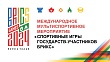 в казани игры стран брикс 2024 стартовали с видеообращения путина