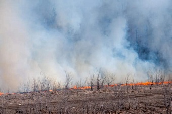 в узбекистане объяснили причину пожаров на границе с афганистаном
