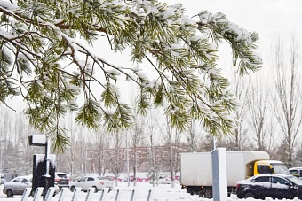 потепление и штормовое предупреждение ожидают казахстан: погода в четверг, 14 ноября 2024