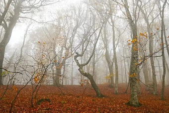 резкое похолодание и потепление, дожди и гололед в казахстане: погода в субботу и воскресенье, 2 и 3 ноября 2024