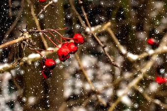 дожди со снегом, гололед и сильный ветер ожидаются в казахстане: погода во вторник, 5 ноября 2024