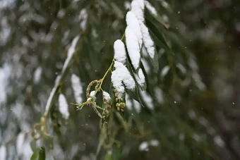 холодно и преимущественно без осадков будет в казахстане: погода во вторник, 15 октября 2024