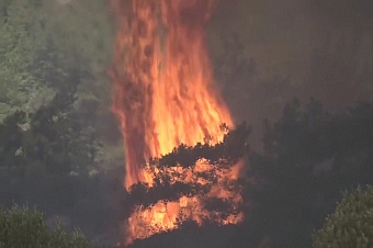 на востоке казахстана ликвидировали крупный лесной пожар