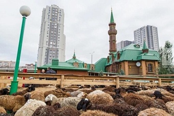 Курбан-байрам 2025: где и как совершить жертвоприношение в Центральной Азии (список мест)
