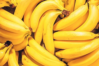 Фермеры Туркменистана начали сбор бананов